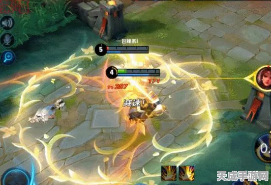 王者荣耀新动向，揭秘伤害修改器背后的秘密与比赛影响