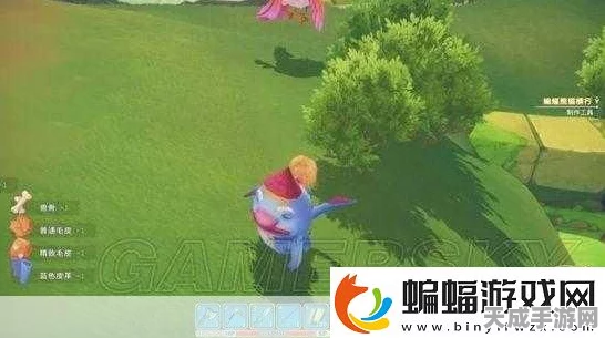 波西亚时光探秘，蝙蝠熊猫神秘现身，捕捉攻略大揭秘！