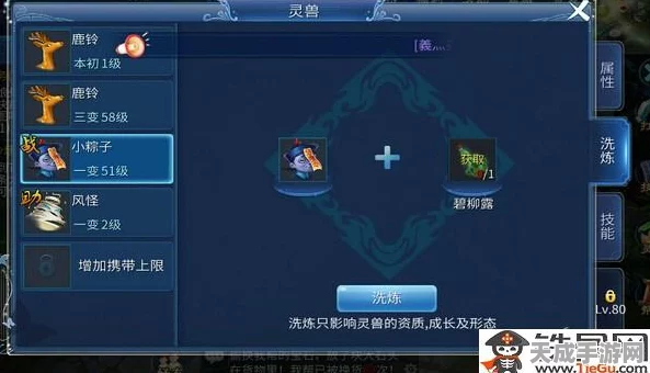 倩女幽魂手游，揭秘小粽子培养秘籍，打造顶级灵兽伙伴