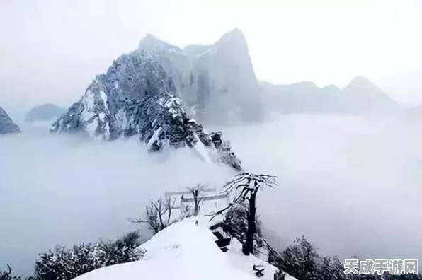 和平精英段位分数揭秘，攀登荣耀之巅的阶梯