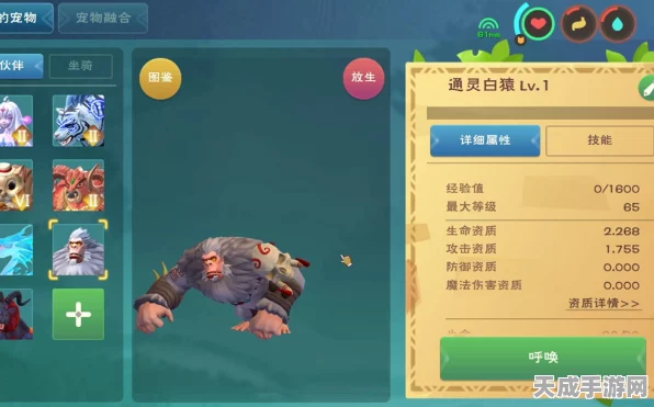 通灵白猿饲养秘籍，揭秘创造与魔法中白猿饲料的精准数量