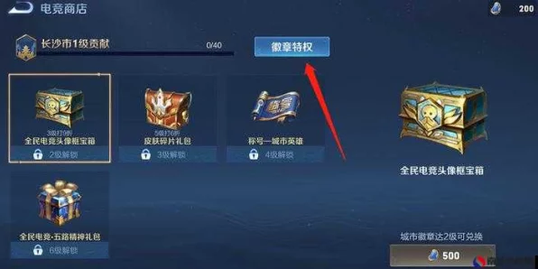王者荣耀，揭秘勇者徽章高效兑换策略，助你赛季冲刺！