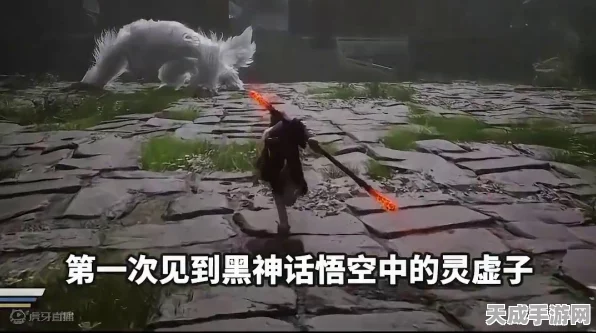 黑神话，悟空深度攻略——揭秘灵虚子金丹获取之道
