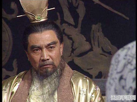 三国志战略版深度解析，华佗角色去留策略大揭秘