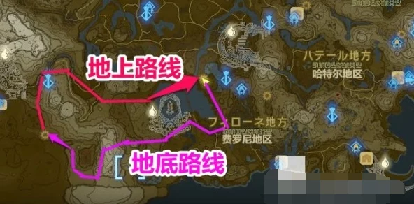 塞尔达传说王国之泪，解锁全鸟望台终极攻略，探险之旅不再迷茫！