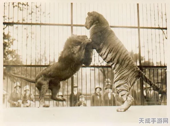 怪物猎人2G耐力条提升攻略，解锁无限狩猎潜能！