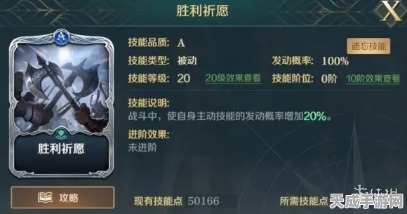 文明与征服，海尔曼技能搭配与最强阵容揭秘