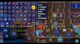 泰拉瑞亚地牢探秘，解锁蓝色神秘宝箱的终极攻略