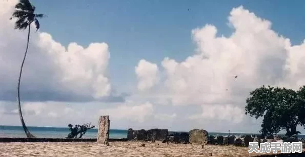 泰拉瑞亚探秘，解锁神圣之地的奇妙之旅