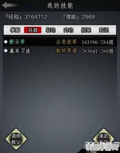 放置江湖二转攻略，解锁顶尖门派秘籍，助你称霸江湖！