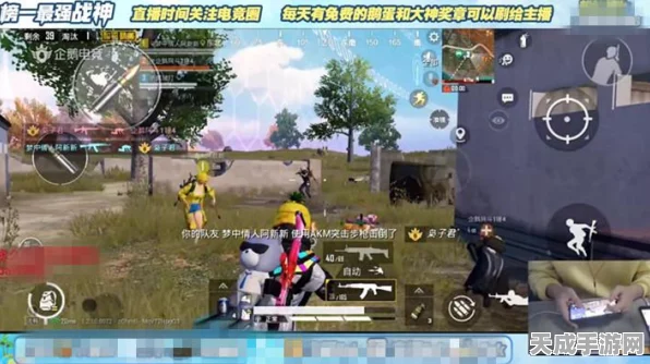 和平精英勇者手册VS精英手册，深度解析性价比与奖励差异