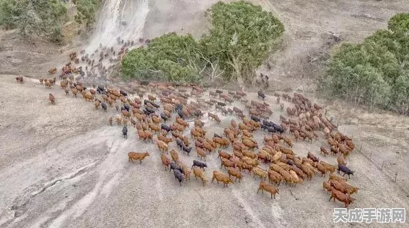我的世界养殖羊全攻略，打造你的专属羊毛农场