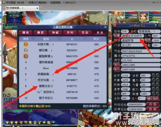 梦幻西游天元比武冠军之路，深度攻略与实战技巧揭秘