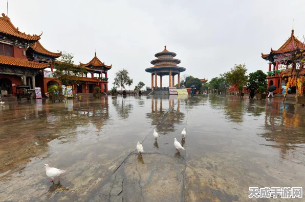 使命召唤手游新玩法揭秘，东湖樱花节限时挑战全攻略