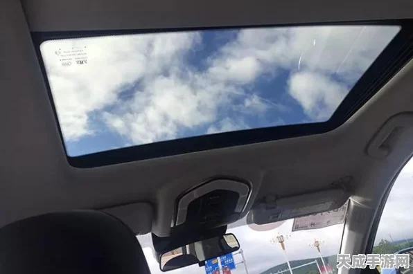 剑与远征时乱之境，顶尖队伍配置策略揭秘