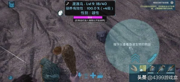 方舟生存进化，从新手到高手的全攻略与竞技技巧揭秘