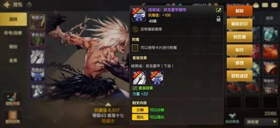 DNF手游满级冲刺，高效升级与玩法技巧全揭秘