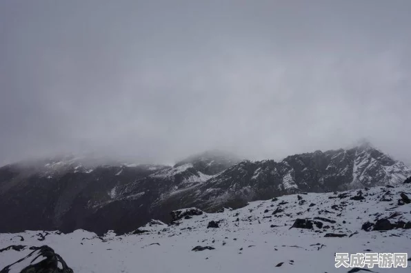 洛克王国，雪精灵技能搭配秘籍，解锁竞技场无敌模式
