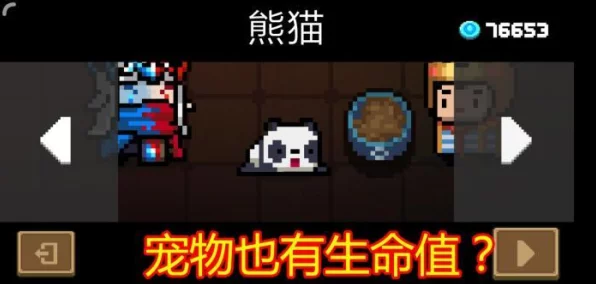 元气骑士宠物搭配大赛，揭秘冠军组合与技能运用策略