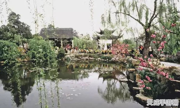 烟雨江湖，桃花坞小势力解锁全攻略，揭秘高效步骤与必胜策略