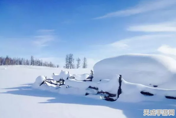 泰拉瑞亚冰雪秘境探险，冰雪钥匙掉率大揭秘，挑战你的RP极限！