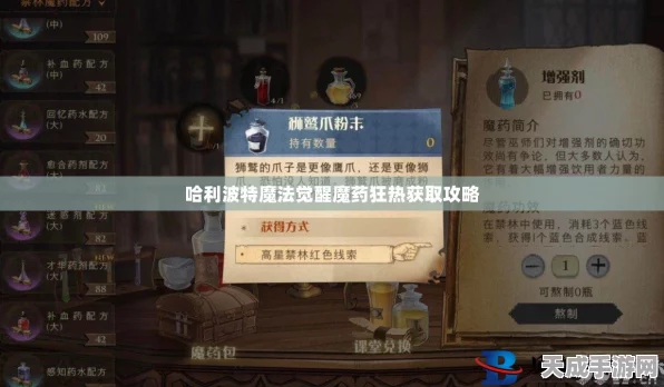 哈利波特魔法觉醒，揭秘魔法药剂的获取秘籍