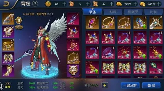 阿拉德之怒极速冲级秘籍，0-65级全攻略大揭秘，助你称霸新手村！