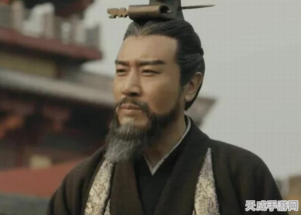 三国志曹操传深度攻略，揭秘对方士兵等级与出兵等级的关系