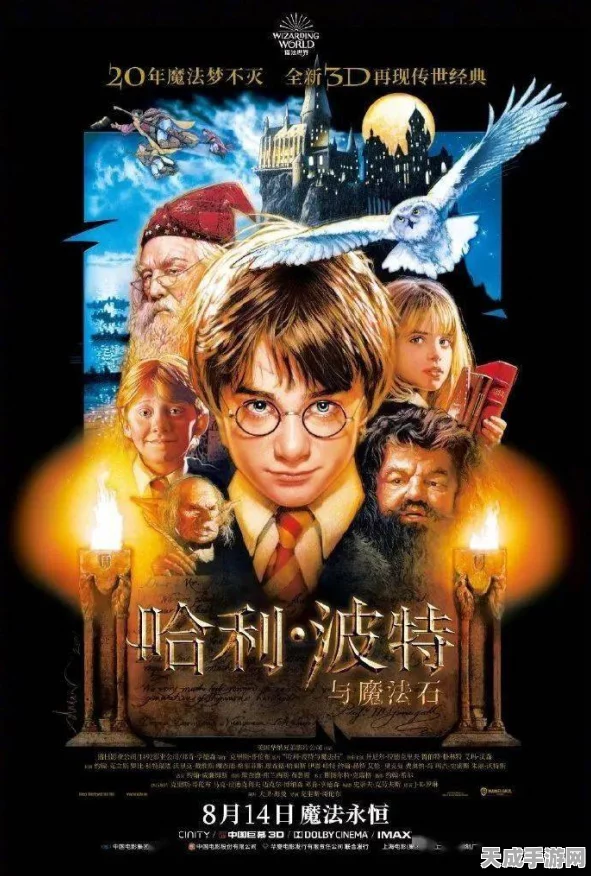 弗洛伦丝强度揭秘，异象回声中的顶尖角色解析