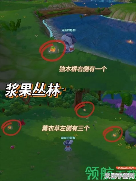 摩尔庄园璀璨之夜，守岁烟花大赛全攻略，独家揭秘烟花分布热点