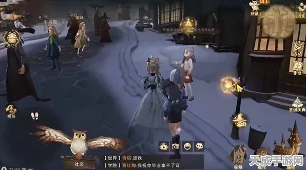 哈利波特魔法觉醒，揭秘伙伴心仪礼物，赠礼攻略助你加深友谊！