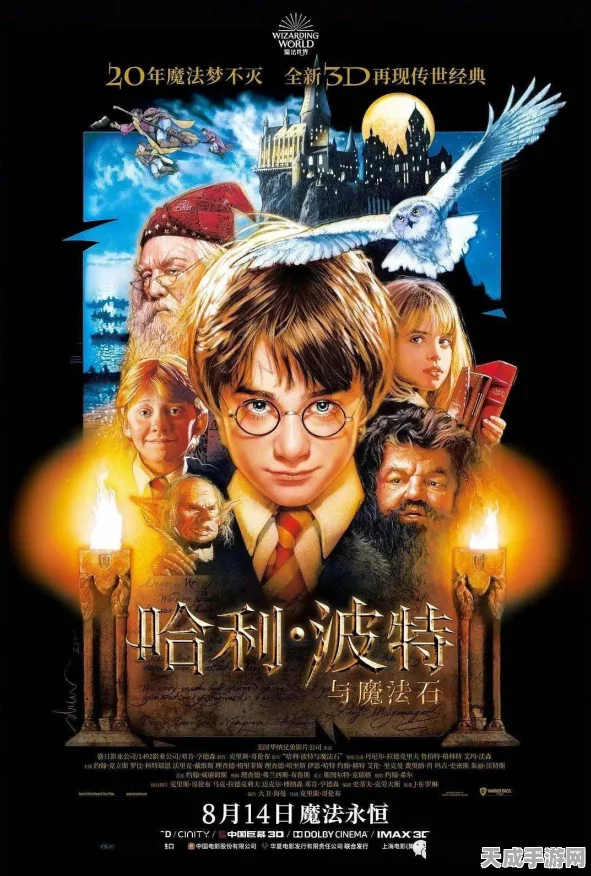 哈利波特手游攻略，揭秘分院帽获取全攻略，助你成为魔法学院新星！