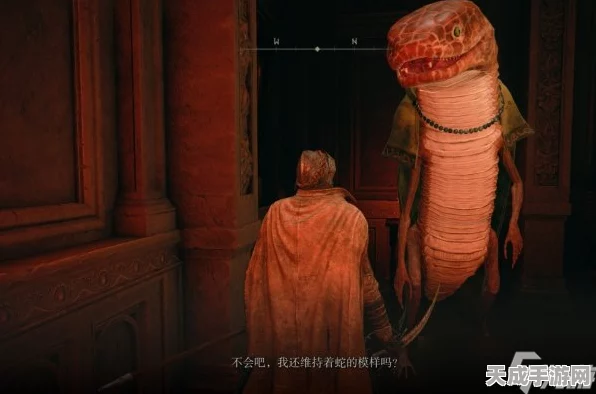 艾尔登法环深度攻略，揭秘菈雅支线任务的完美通关流程
