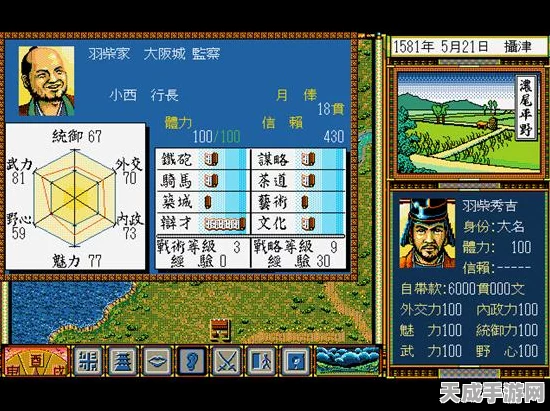 太阁立志传5DX，深度解析合战卡效能与高效获取策略