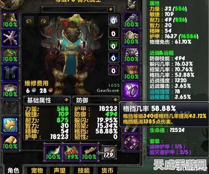魔兽世界，满级勇士的装备征途与顶级战备解析
