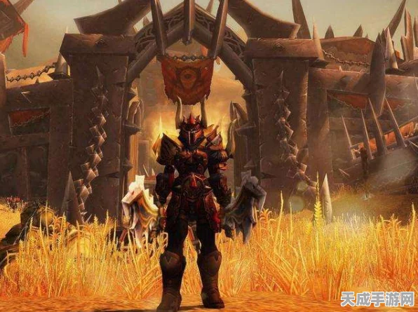 魔兽世界，满级勇士的装备征途与顶级战备解析