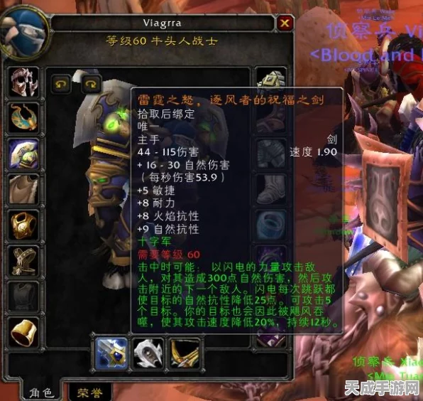 魔兽世界，满级勇士的装备征途与顶级战备解析
