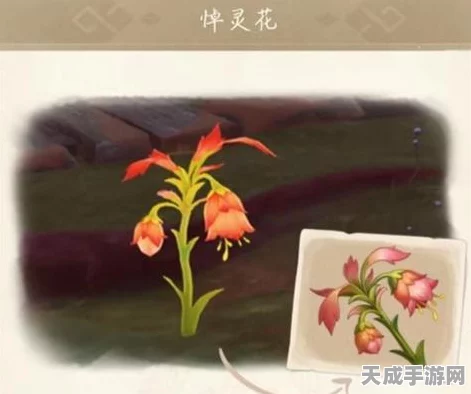 原神深度攻略，解锁狱中绽放之花任务全揭秘