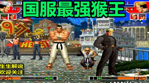 拳皇97巅峰对决，华阳赛区角色攻略大揭秘，谁是新晋战术大师？