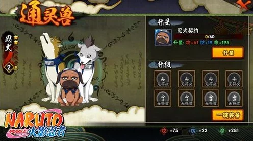火影忍者手游，忍犬大作战深度攻略，揭秘黑暗索敌必胜技巧