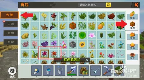 迷你世界珍稀植物揭秘，灰色龙舌兰获取全攻略