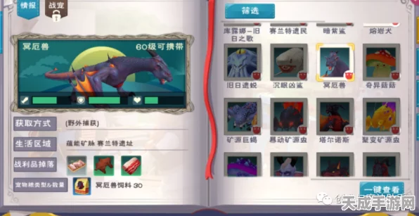 探秘创造与魔法地火深渊，详尽攻略与入口揭秘