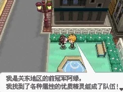 口袋妖怪黑2，解锁隐藏地点，揭秘地点代码查看全攻略
