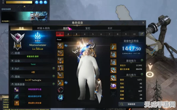 手游攻略，失落的方舟装备升级全攻略，解锁顶级战力！