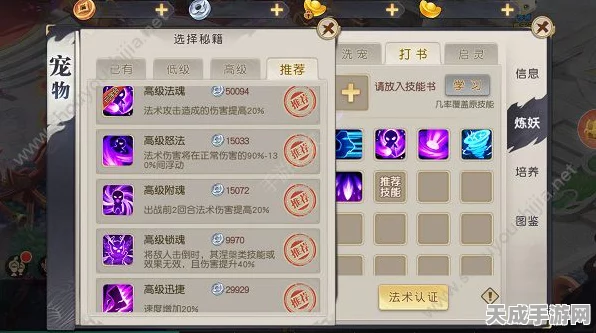 手游攻略秘籍，解锁天下手游资源管理新技巧，装备属性与加护强化效益最大化