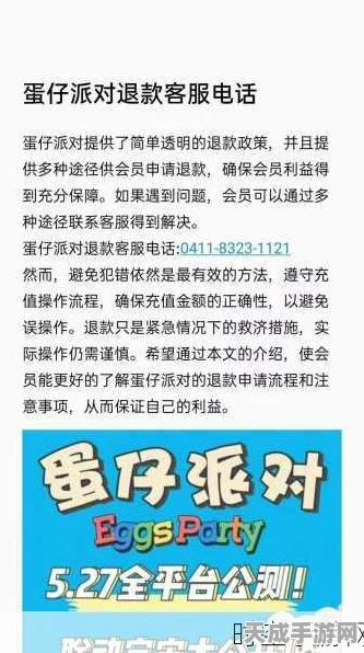 蛋仔派对退款攻略，揭秘申请成功率及高效退款技巧