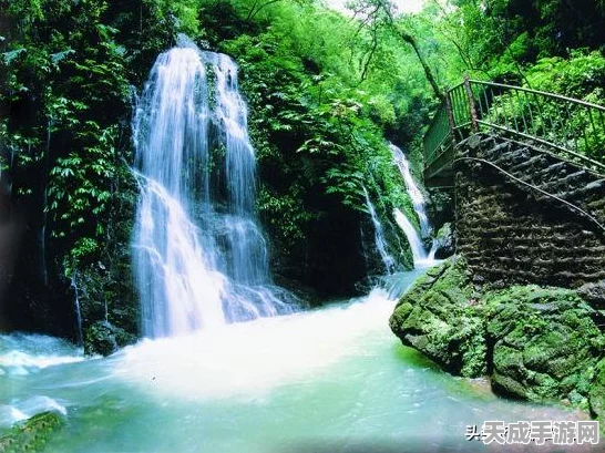 阴阳师，揭秘幽谷响高效获取途径与顶级搭配策略
