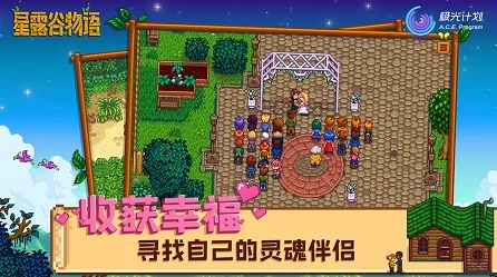 星露谷物语存档揭秘，一键定位你的游戏记忆宝藏