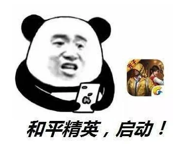 和平精英梦幻火箭皮肤深度解析，抽还是不抽？