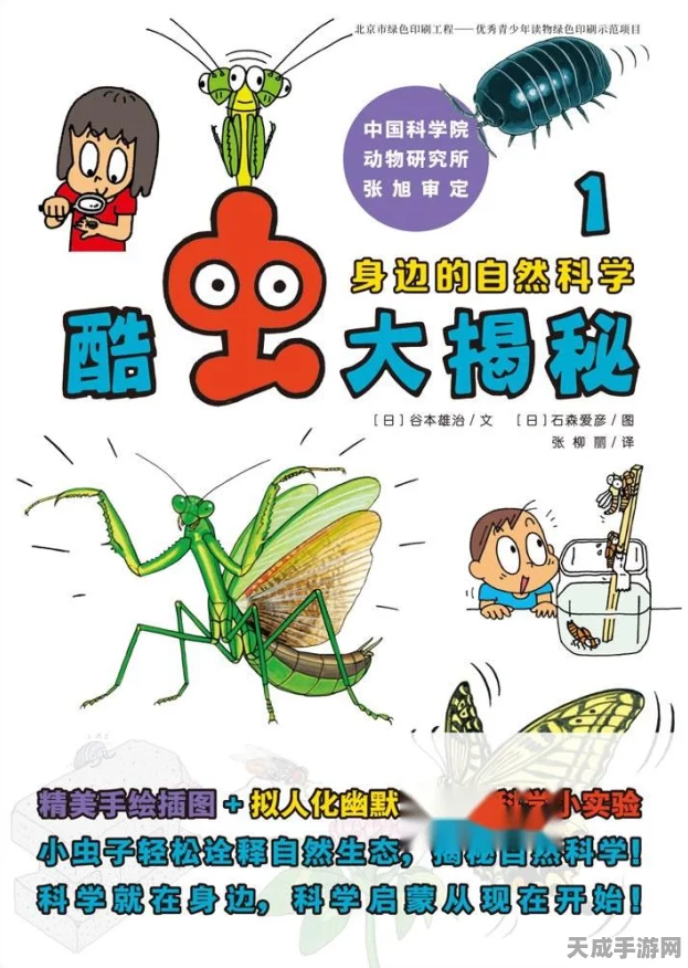 射雕搜奇大揭秘，进阶藏宝图丁卯获取攻略与最新动态
